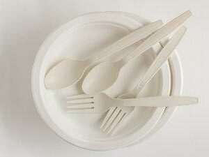 Disposable Cutlery